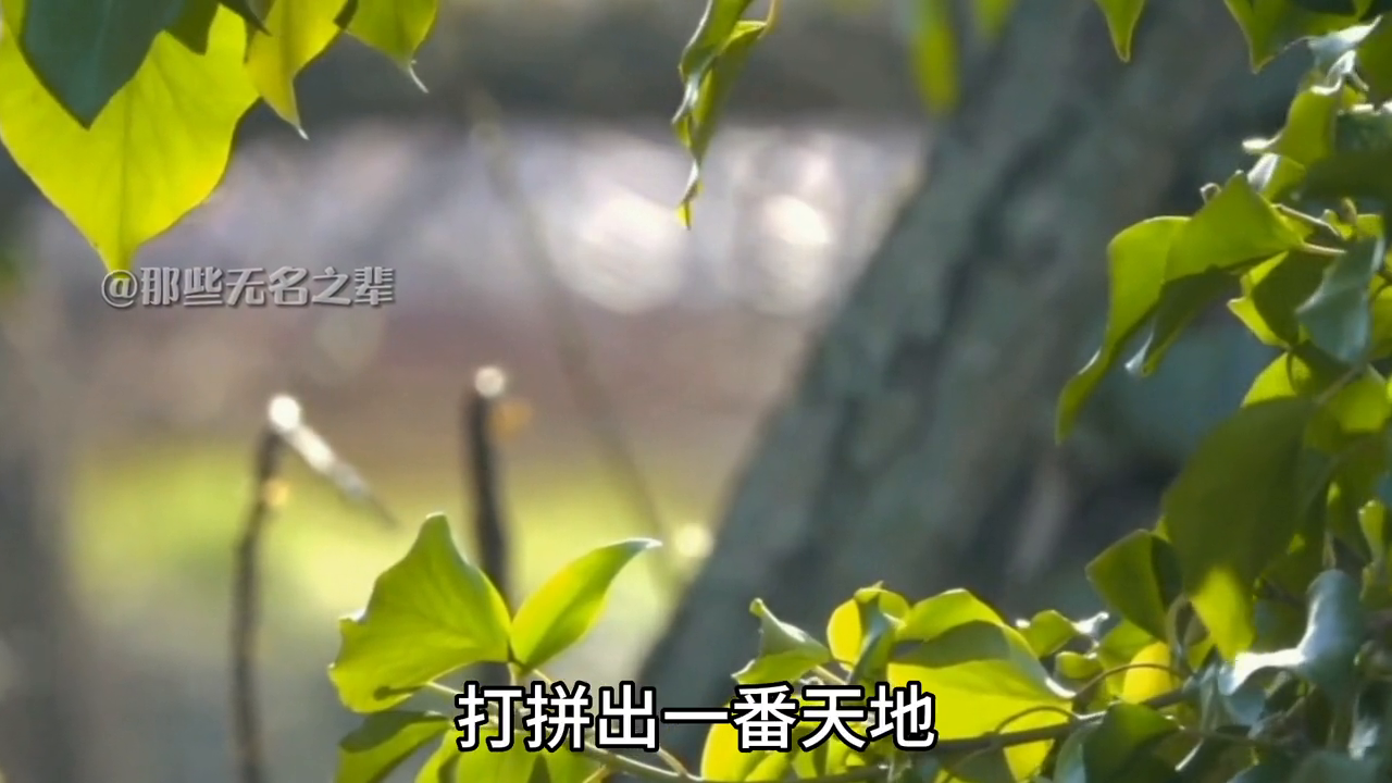 致富养殖男性项目有哪些_男性养殖致富项目_致富养殖男性项目介绍
