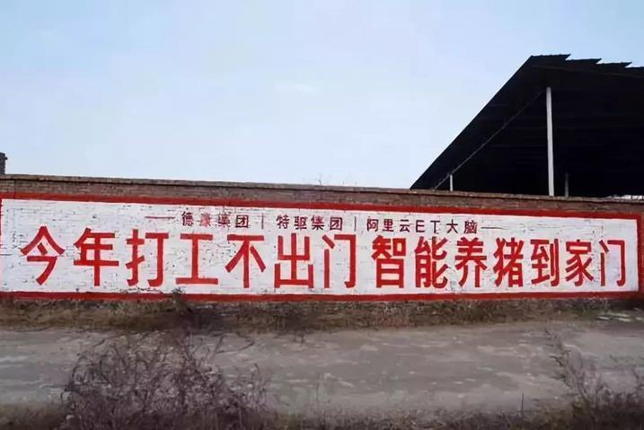 养殖致富榜_cctv养殖致富网_致富养殖项目