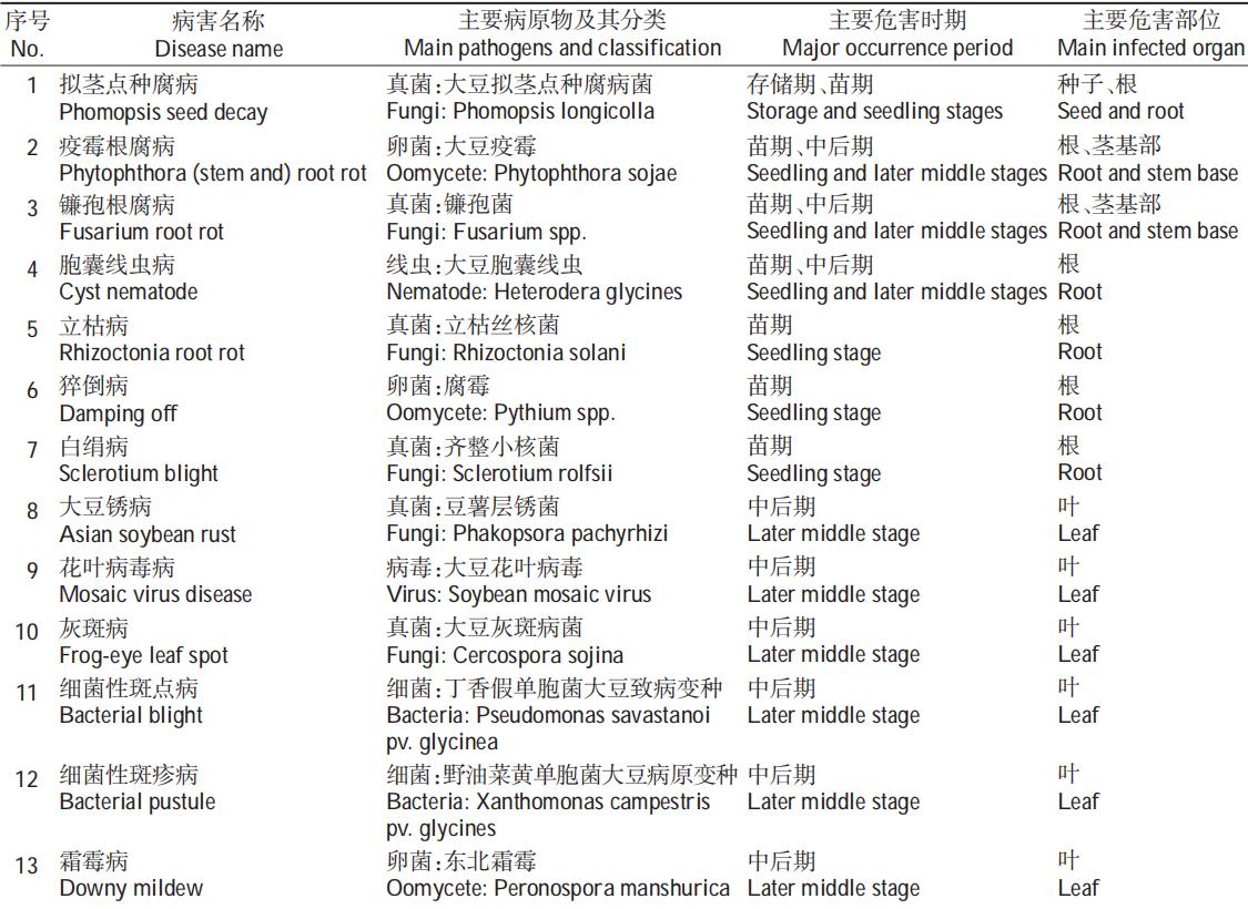 夏黄豆种植技术_黄豆种植方法和注意事项_黄豆种植时间和技术视频