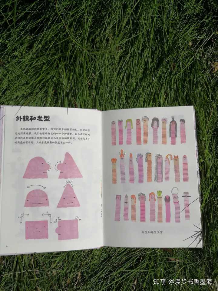 地龙药材价格_药用地龙是哪种_致富经药用地龙视频