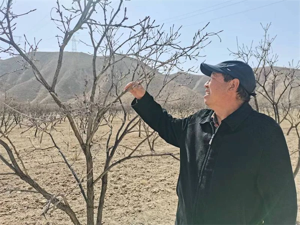 致富种植模式企业有哪些_企业种植致富模式_种植致富新项目