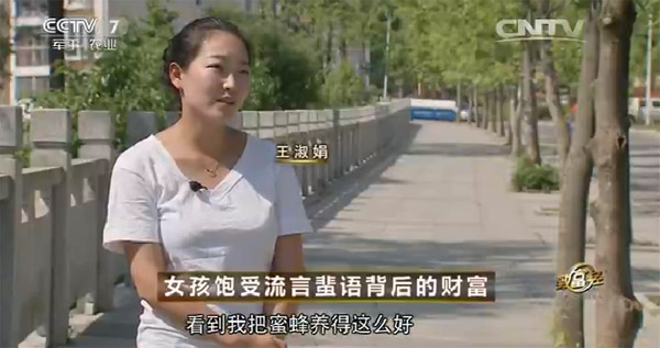 养蜜蜂致富经_致富经养蜜蜂致富视频_致富经cctv7养蜜蜂