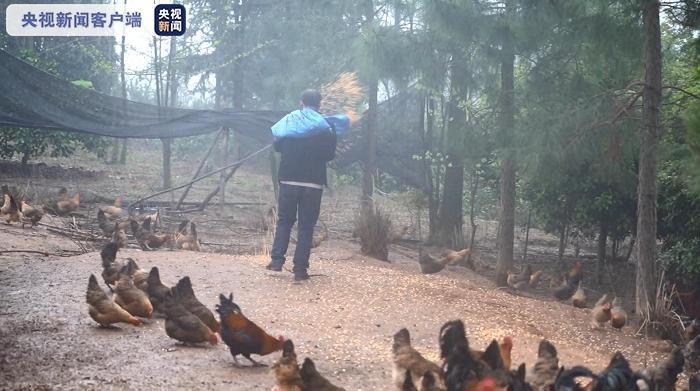 残疾人致富经_所有残疾人致富经_残疾人富翁