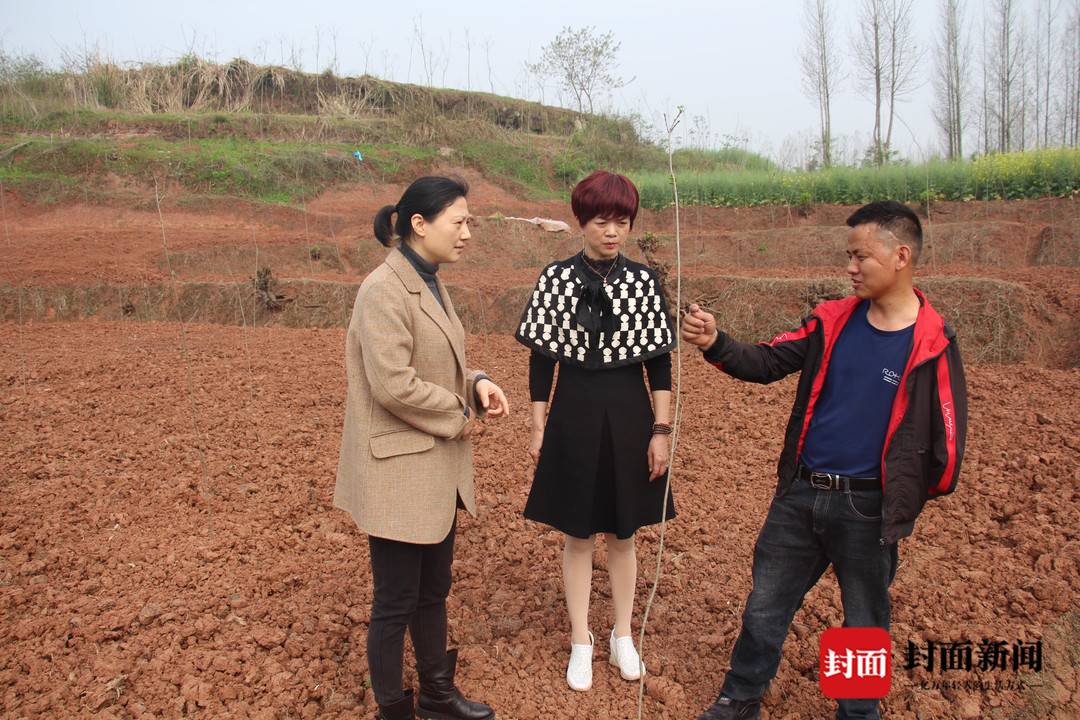 残疾人发家致富_残疾人致富经_所有残疾人致富经