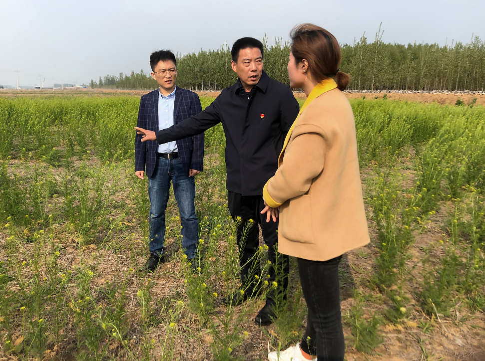 种植致富带头人发言稿_农村种植带头致富_种地致富带头人的文章