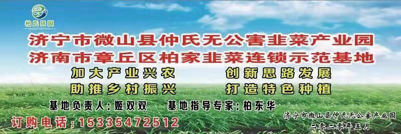种植致富带头人发言稿_农村种植带头致富_种地致富带头人的文章