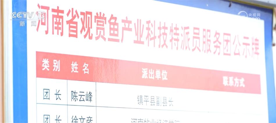 锦鲤鱼养殖技术视频播放_致富经养锦鲤技术视频_养殖锦鲤致富
