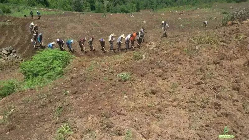致富养殖种类图片_致富养殖种类有哪些_致富养殖种类