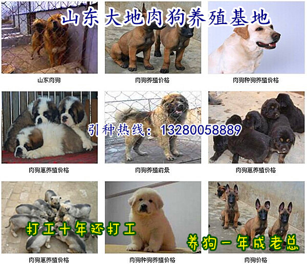 灵石县致富煤矿地址_灵石致富煤业简介_灵石种植致富项目