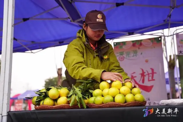 种植柑橘赚钱吗_柑橘的种植成本和利润_柑橘种植致富成果