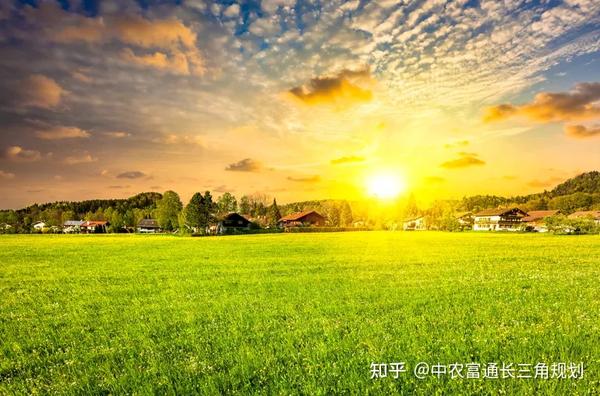 村庄借鉴优质规划经验材料_村庄借鉴优质规划经验做法_借鉴优质村庄规划经验