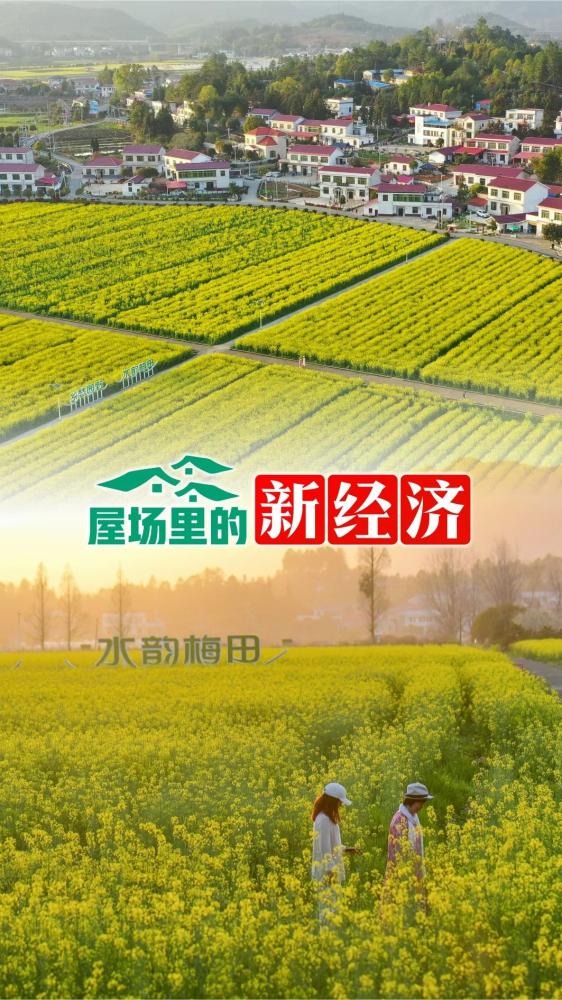 致富带动种植村民的句子_种植带动农民致富_怎么带动全村种植致富