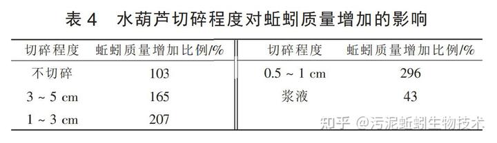 养殖蚯蚓的技术_养殖蚯蚓前景如何_最新蚯蚓养殖技术