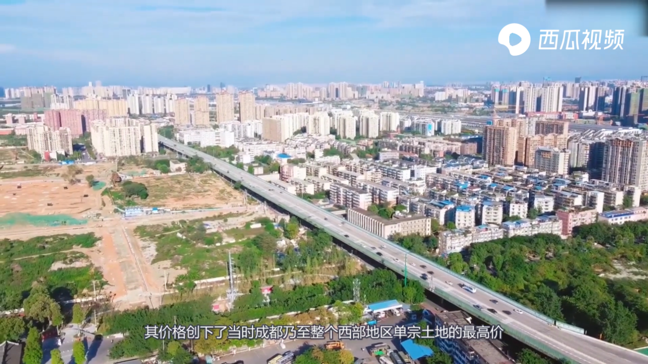 致富经西瓜种植视频_西瓜种植铺就致富路_农业种植致富项目西瓜
