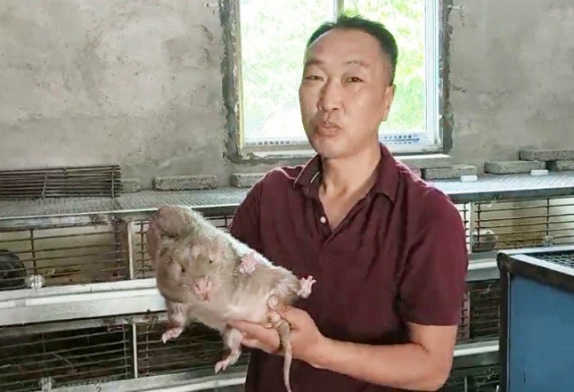 动物养殖致富过程_养殖致富项_致富养殖动物过程视频