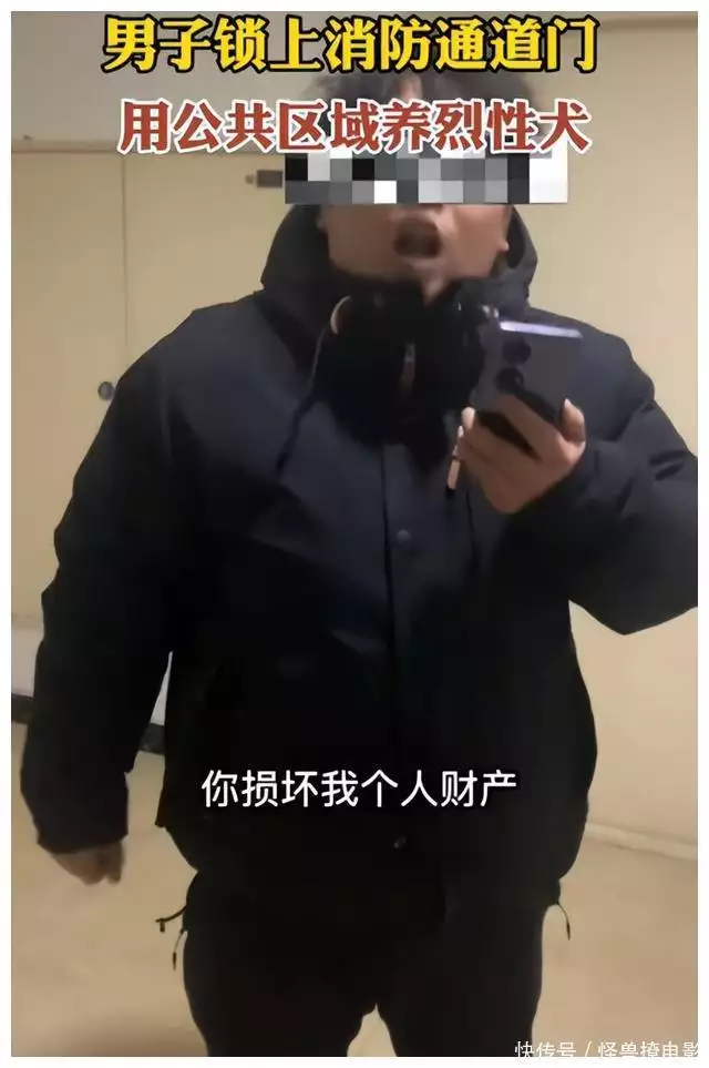 养殖泰迪赚钱吗_养殖泰迪致富_致富养殖泰迪图片