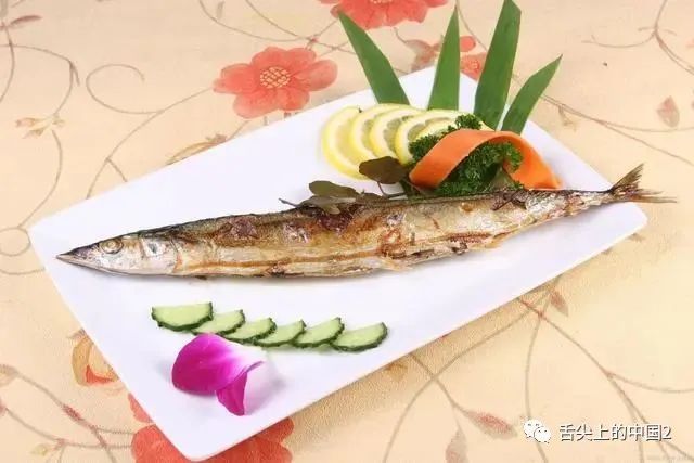野生鱼的养殖技术_野生鱼养殖需要什么手续_野生养殖鱼技术规范