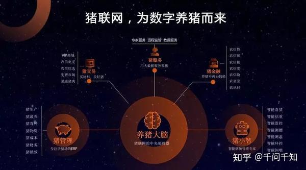 母猪养殖技术视频_母猪养殖技术视频视频_视频养殖母猪技术教程
