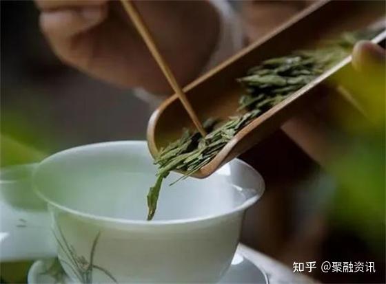 茶香猪 致富经_致富经茶叶_致富经香猪