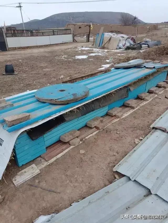 什么温度蜂箱不要外保温？养蜂该注意什么？