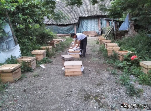 致富养殖大全知识讲解_养殖致富知识大全_致富养殖大全知识培训