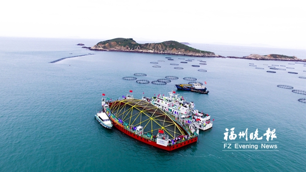 福建大黄鱼养殖 打造“深远海舰队”