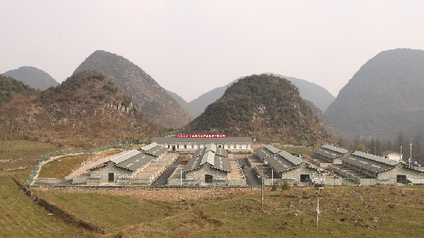 努比亚养殖技术_努比亚养殖基地_努比亚养殖致富