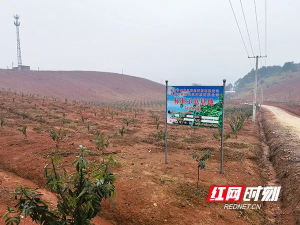 农村致富项目种植业_致富园区种植农业补贴政策_农业园区种植致富