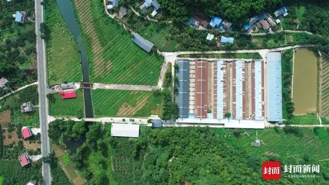 养努比亚圈养技术_努比亚养殖致富_努比亚种羊多少钱一只