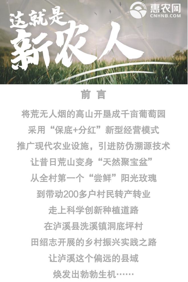 葡萄种植致富方法_种植葡萄怎么种植_致富种植葡萄方法视频