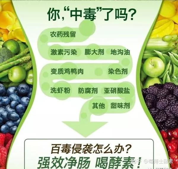 酵素养猪致富经节目_酵素项目_致富经酵素