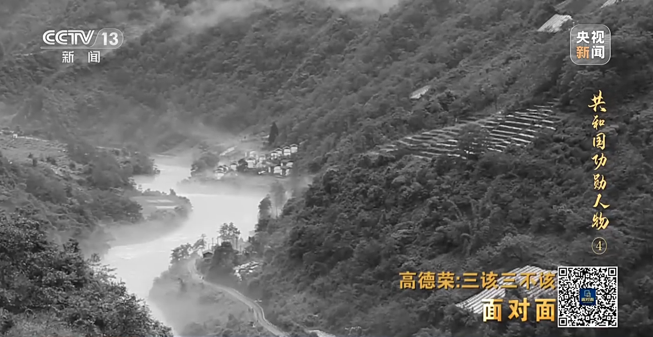 农民种植铁树致富_铁树种植视频_致富种植农民铁树的意义