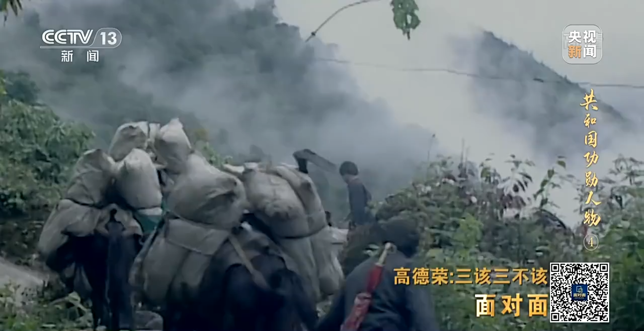 致富种植农民铁树的意义_农民种植铁树致富_铁树种植视频