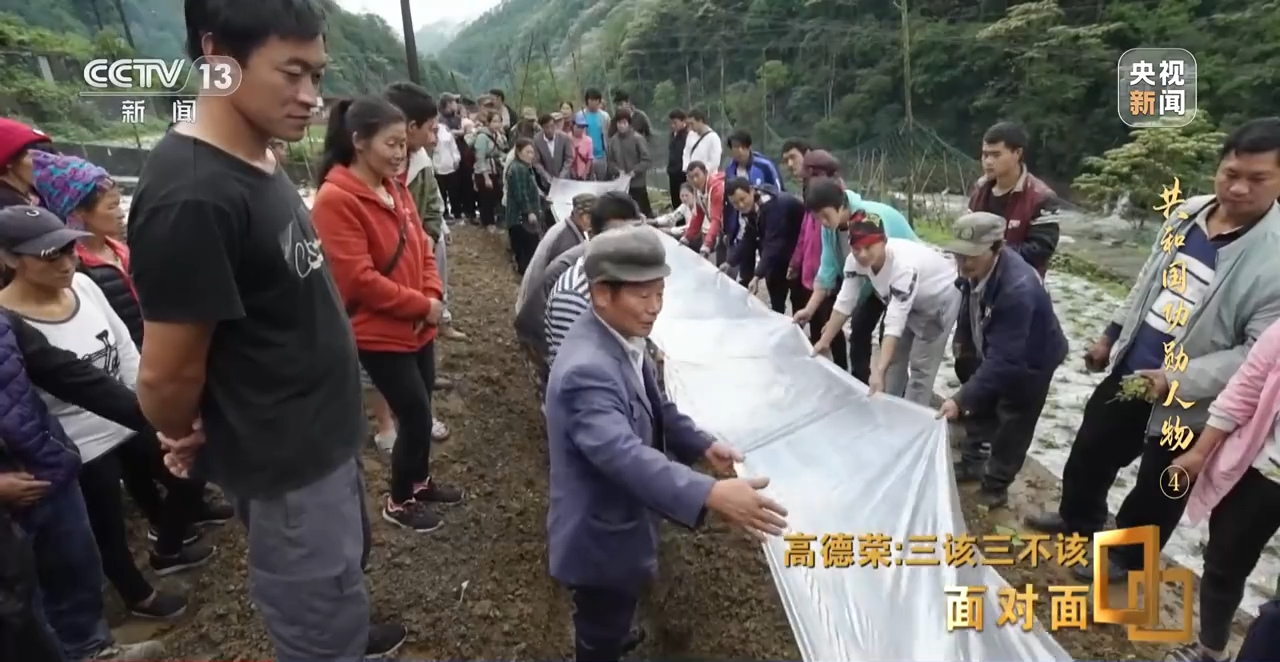 铁树种植视频_致富种植农民铁树的意义_农民种植铁树致富