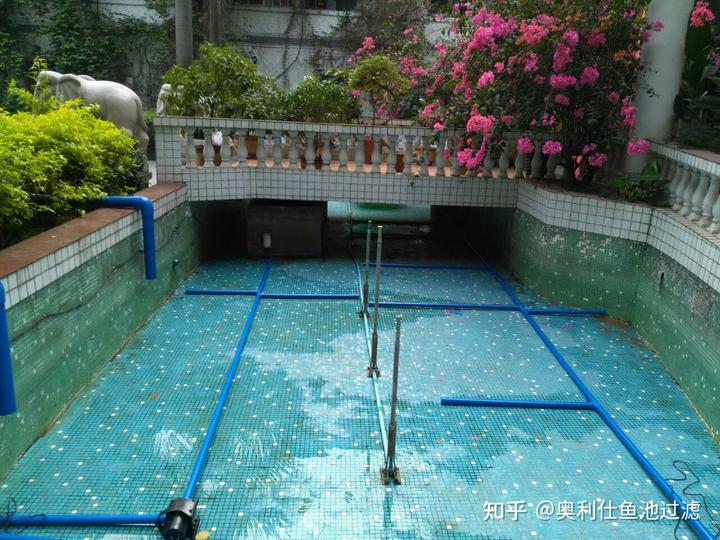 鲤鱼养殖效益_致富鲤鱼养殖技术视频_致富经鲤鱼养殖