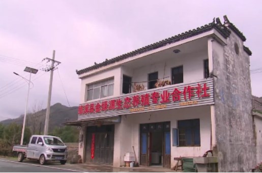 金沙镇：人大代表为战“疫”献力
