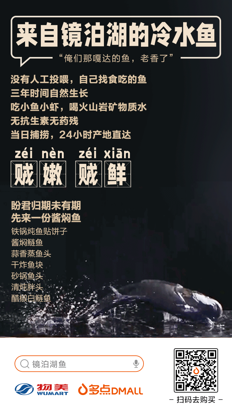 白鲢养殖技术视频_白鲢鱼 养殖技术_养殖白鲢鱼技术与管理