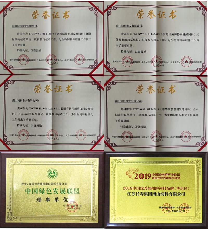 水库施肥纯养鳙鱼_最新鳙鱼水库养殖技术_水库养殖最新技术鳙鱼图片