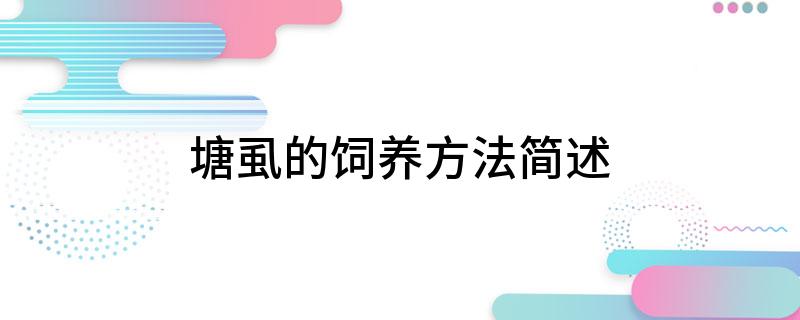 塘虱的饲养方法简述