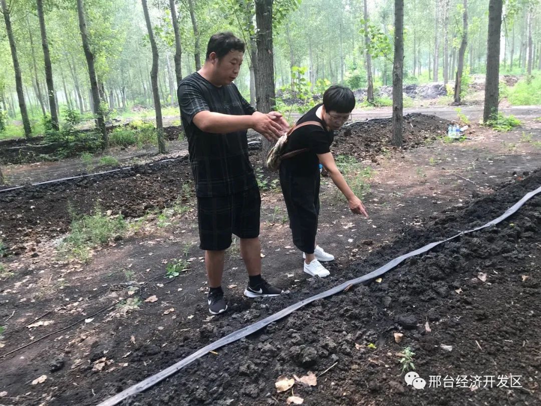 养蚯蚓致富经_蚯蚓养殖赚钱_蚯蚓养殖能赚多少钱