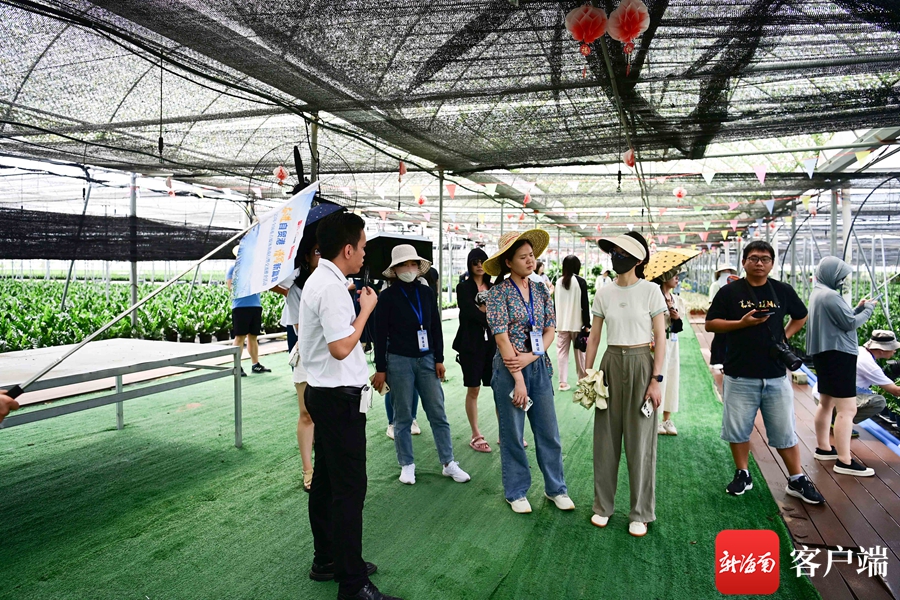 种植盆栽致富_致富盆栽种植技术视频_盆栽致富新闻