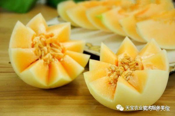 西瓜专用膜与一般膜的分别_路地双膜西瓜种植技术_西瓜专用膜什么膜好