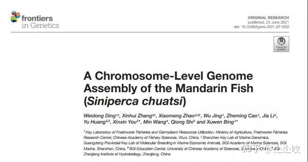 Frontiers in Genetics发表翘嘴鳜染色体水平基因组