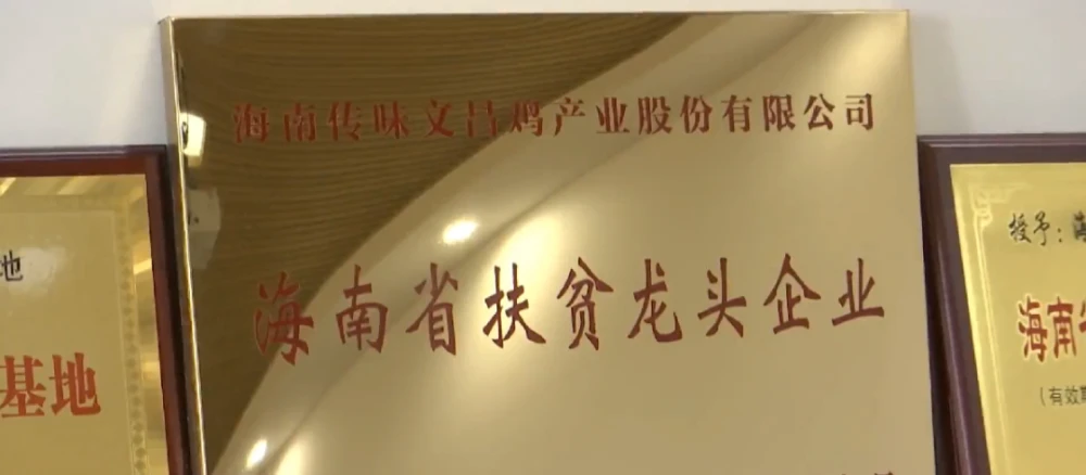 白水县养鸡场_白水鸡养殖致富_养殖水鸡技术视频