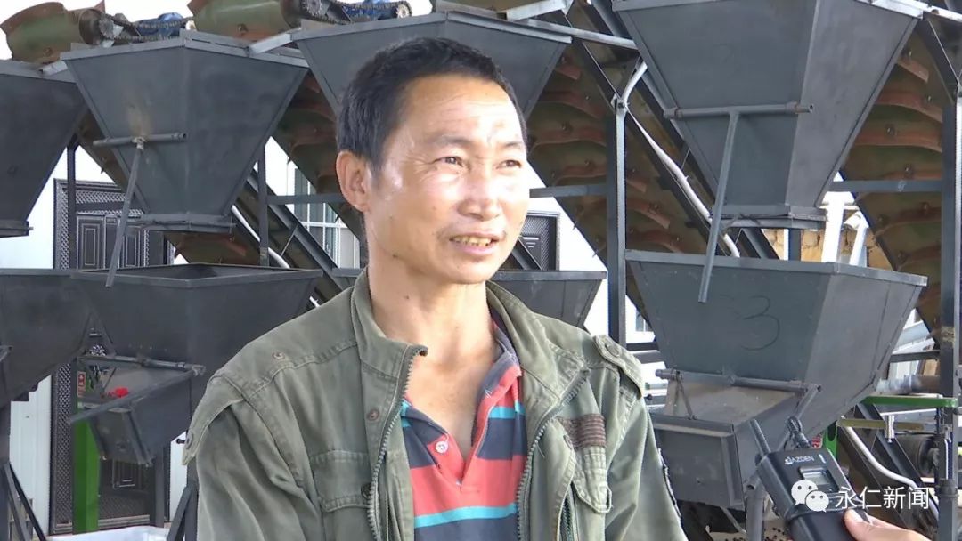 板栗种植致富视频_板栗种植视频大全_种植板栗的利润怎么样