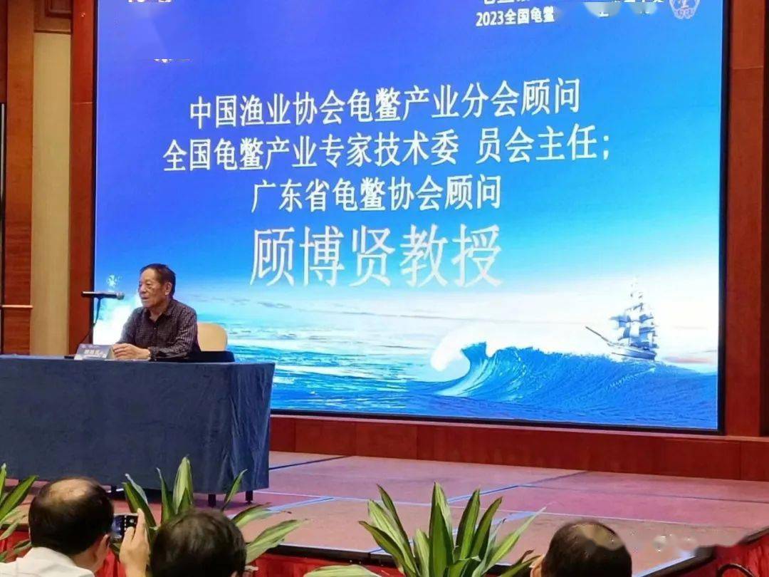 龟鳖养殖技术_养殖技术龟鳖视频_龟鳖养殖与疾病防治