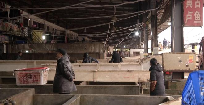 养殖养鱼技术_四大家鱼养殖新技术_最新养殖鱼技术