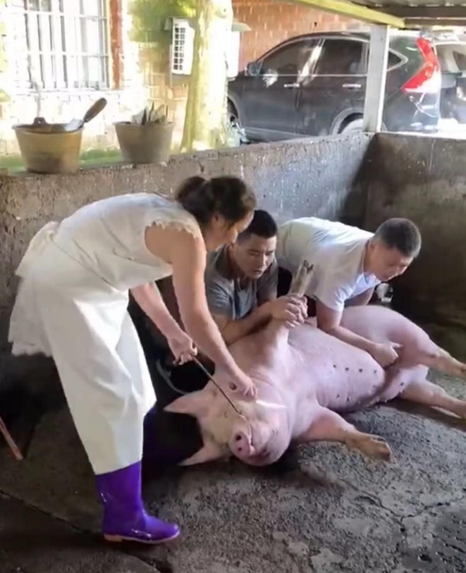 致富经汪三三_致富经汪三三_致富经汪三三