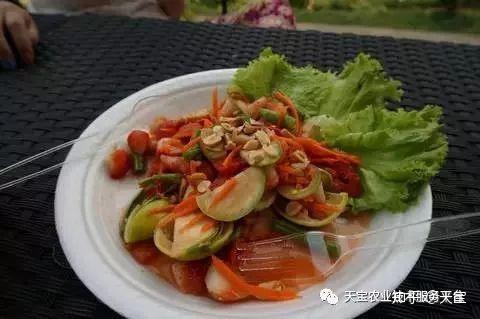 致富养殖草莓图片_养殖草莓致富_草莓养殖户