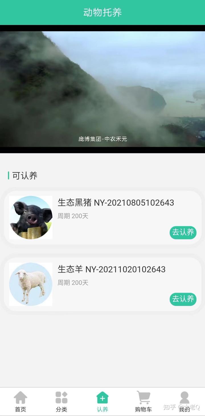 普通农民通过网络养黑猪年入100万是骗局~